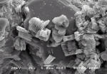 kaolinite