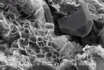montmorillonite