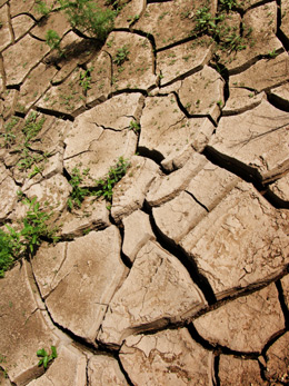 Cracked dry clay soil