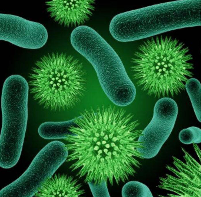 microbes